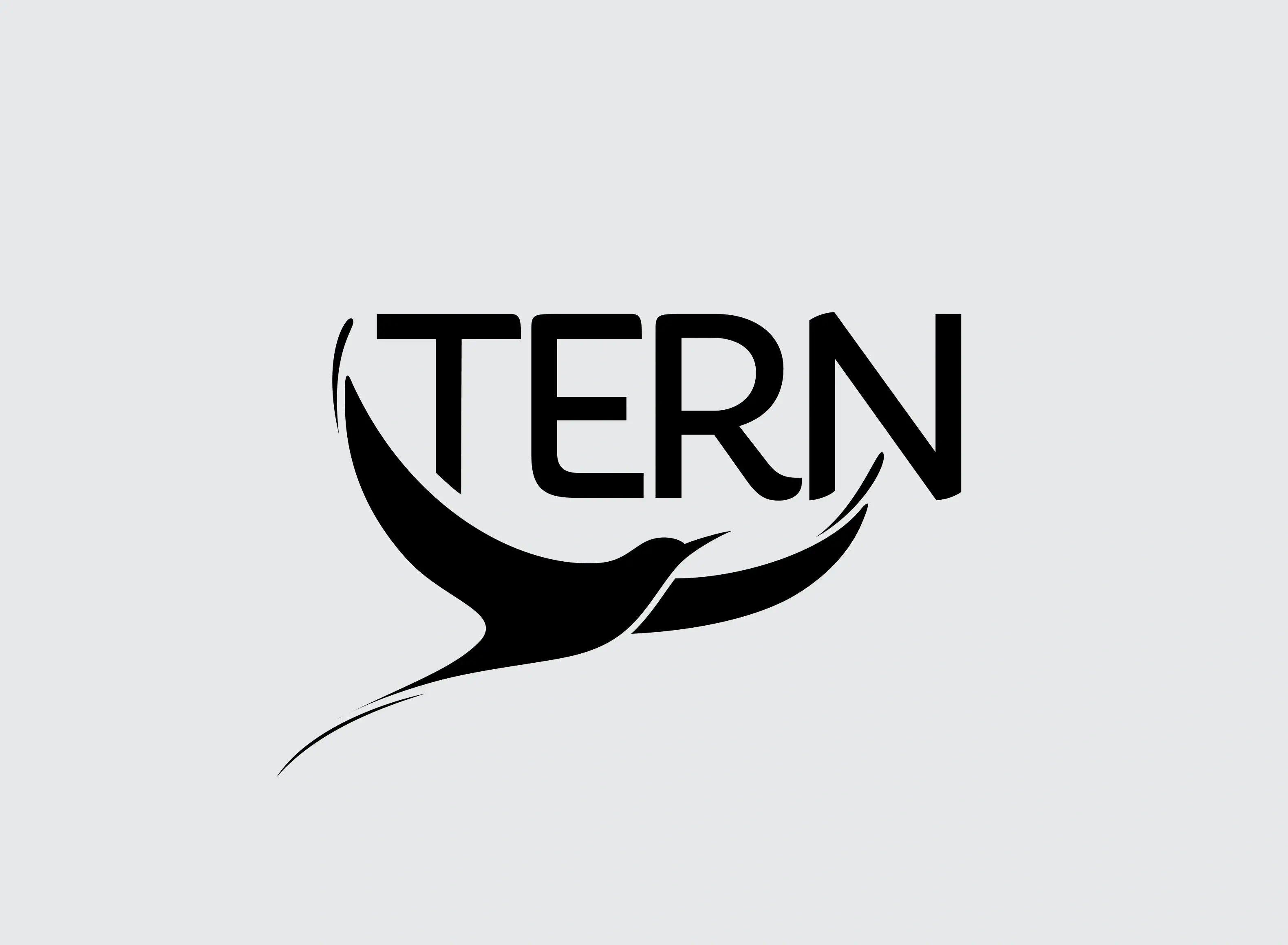 tern-card-logo@2x.webp