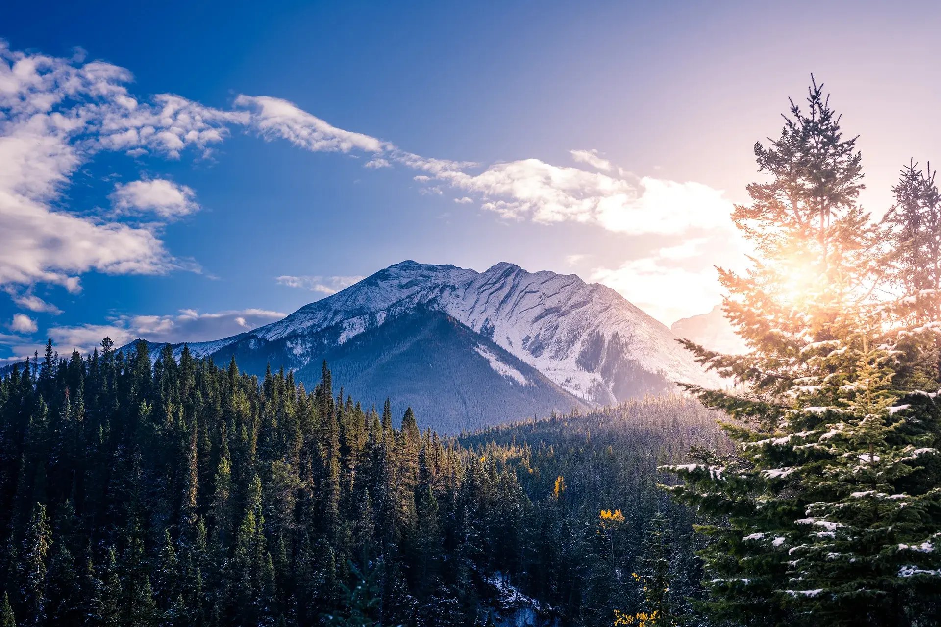 canada-employment-guide.webp