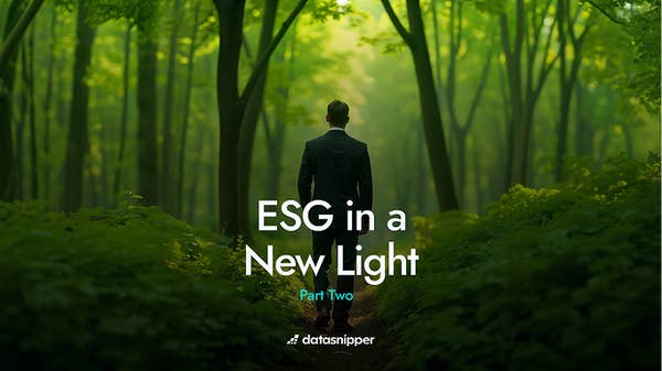 Auditors in the Dark: ESG in a New Light (part two)