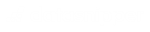 DataSnipper logo