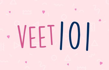 Veet 101