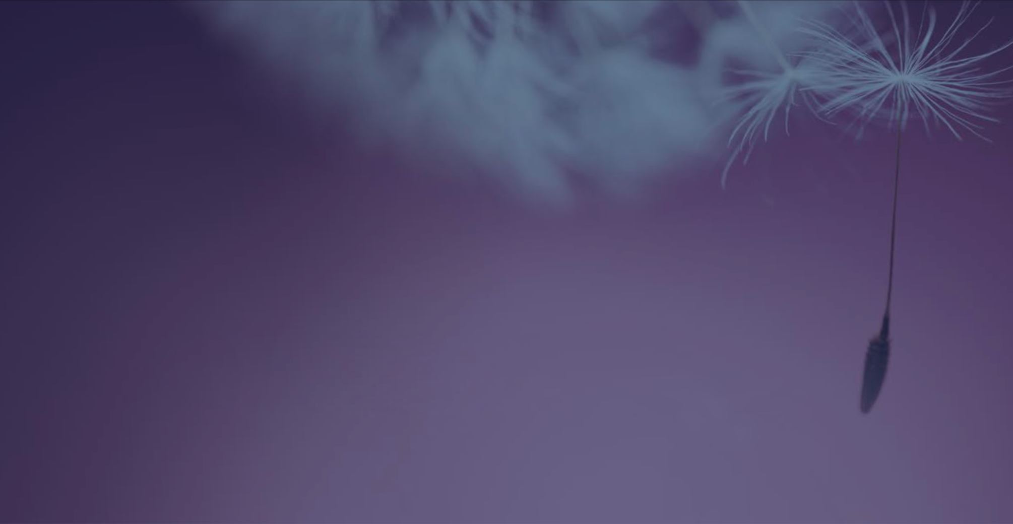 VELETRİ KILAVUZLARI