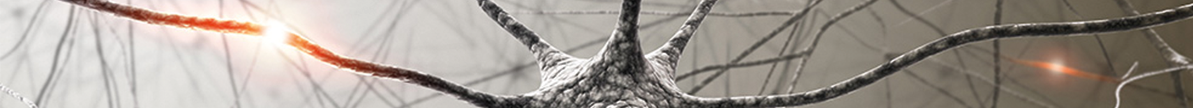 Röportaj ve Sunumlar