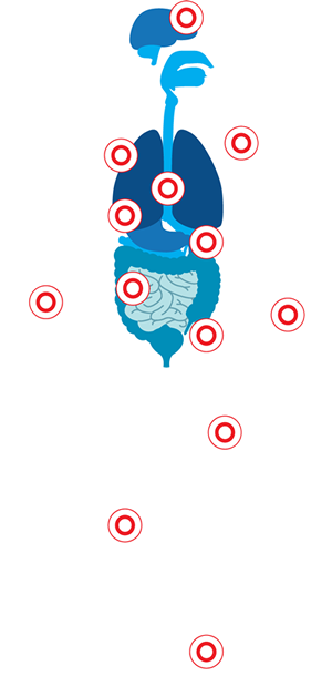 immunoloji-img8.png