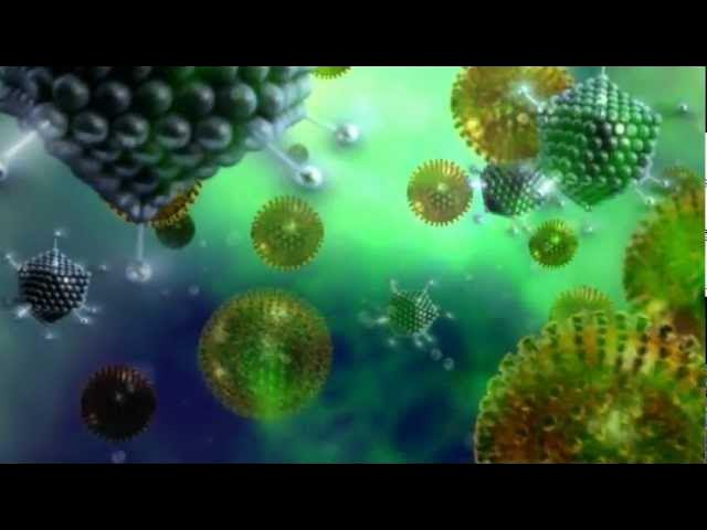 How do disinfectants work