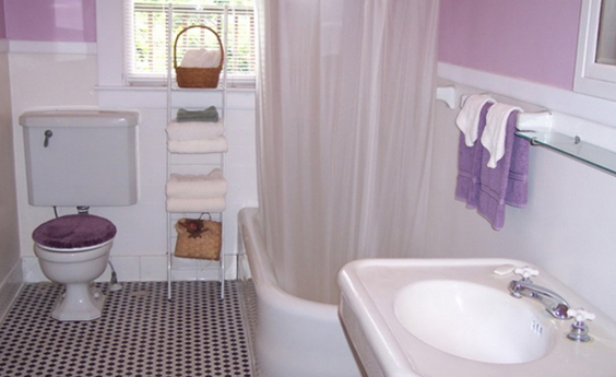 Toilet Cleaning Tips