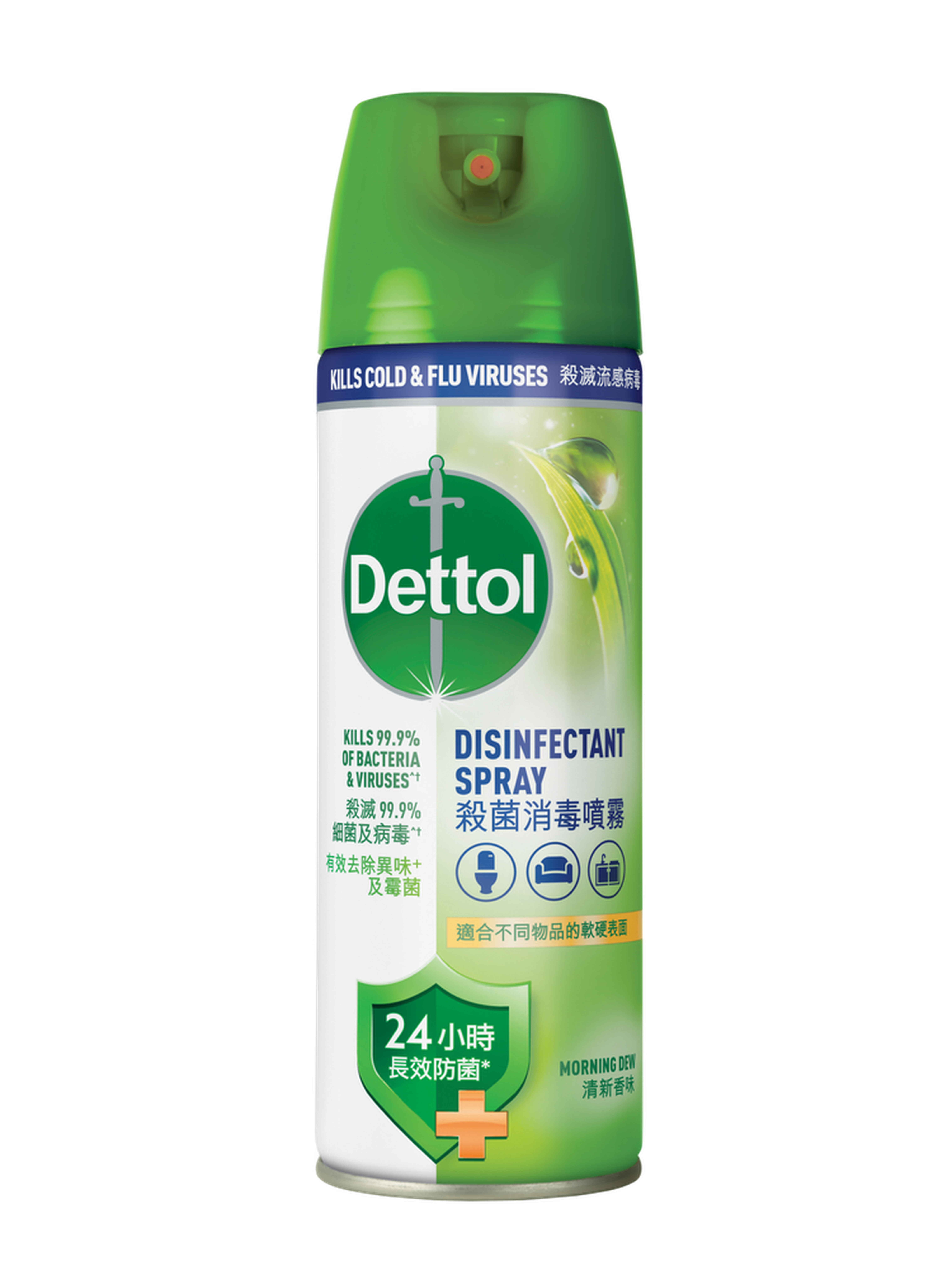 Dettol Disinfectant Spray Morning Dew