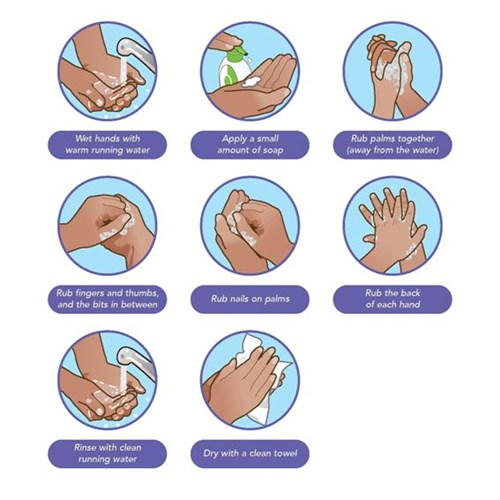 Langkah-Langkah Mencuci Tangan