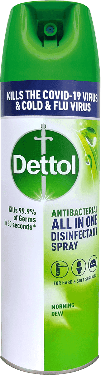 Dettol Disinfectant Spray Morning Dew 225ML | Dettol SG