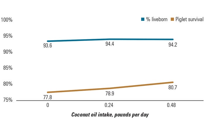 Impact of coconut oil feeding level from Day 109 of gestation until farrowing on the percent of live-born piglets (number born alive ÷ total number born) and piglet survival (number weaned ÷ total number born).