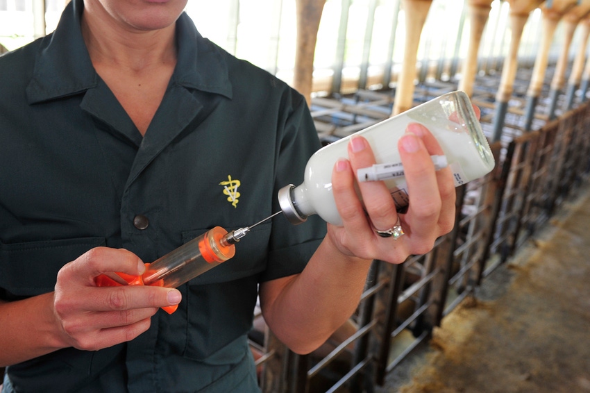 Here’s how to handle sharps on the farm
