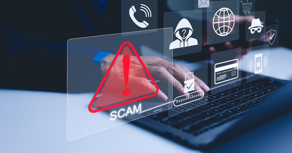 Sheep Manager FTC warns farmers of fake online equipment, livestock ads