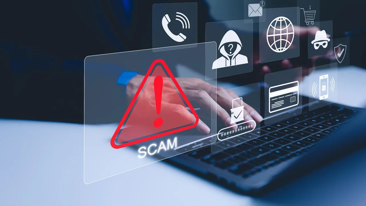 Sheep Manager FTC warns farmers of fake online equipment, livestock ads