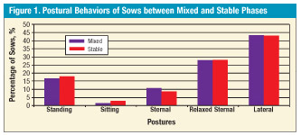 2011 Swine Research Review - Animal Welfare