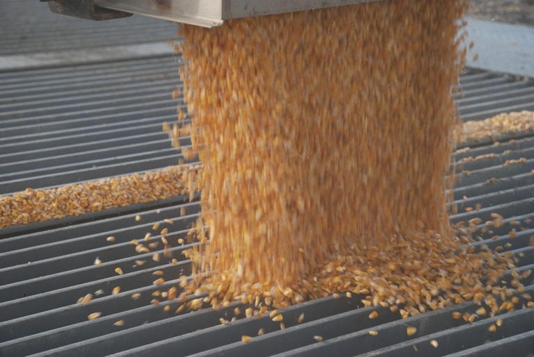USDA Estimates Record Corn Supplies, Lower Prices