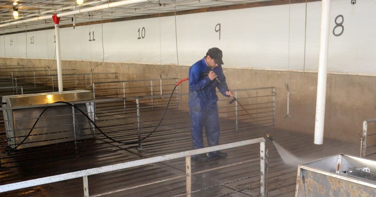 Clean The Barn Strategic swine barn cleaning protocols key during a depop, repop