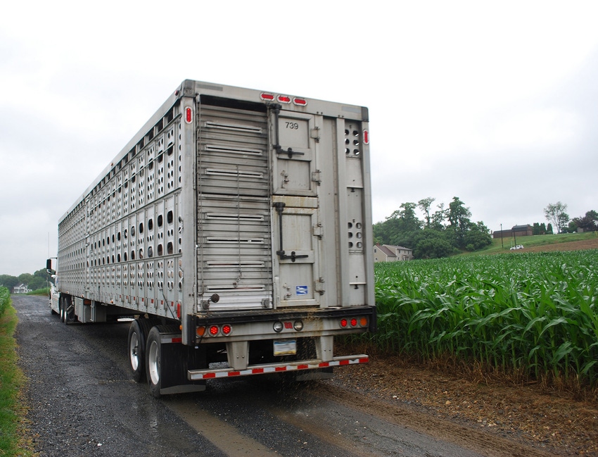 U.S., Canadian stakeholders to create hog disease roadblock