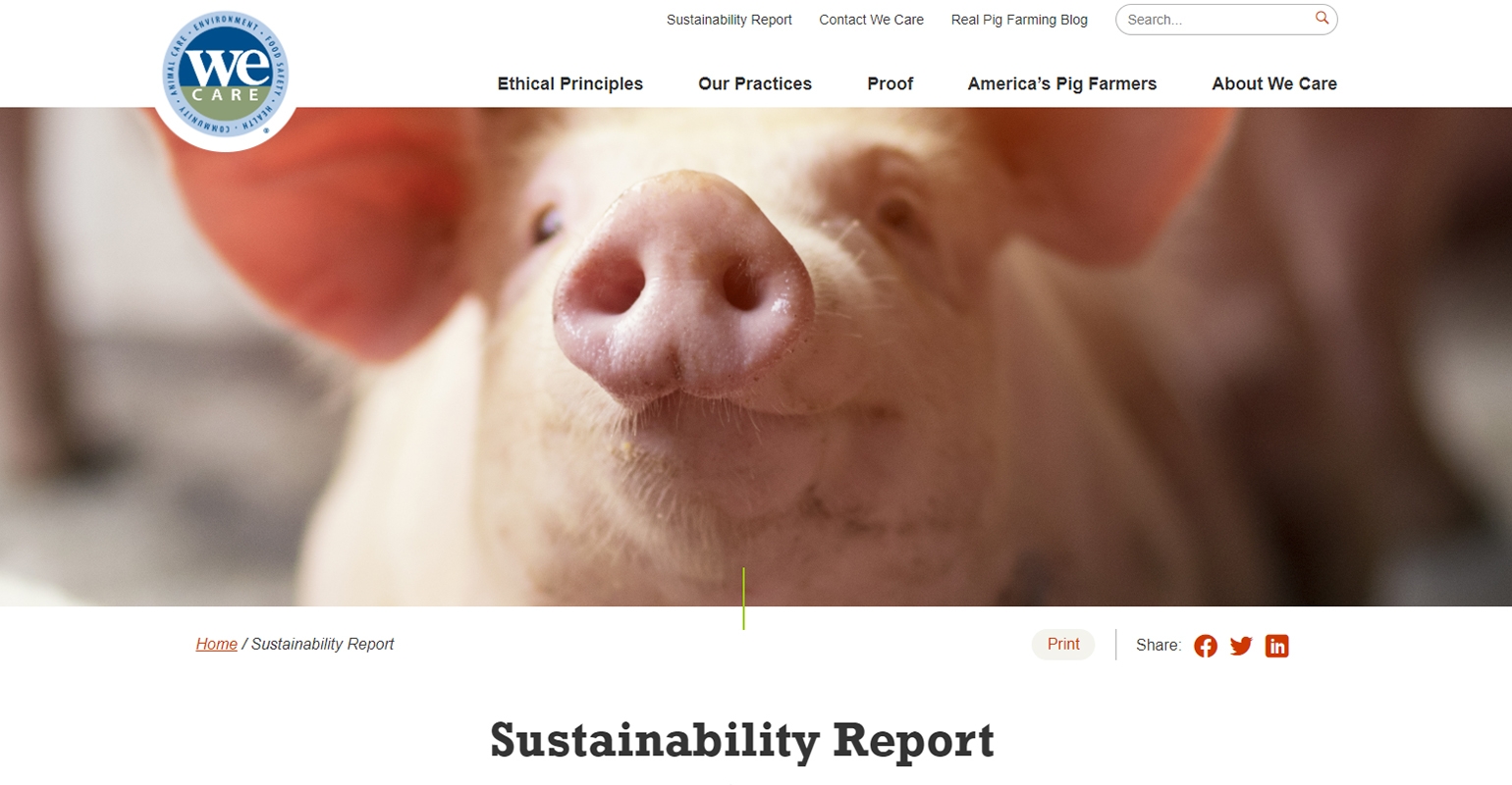 Novus: Intelligent nutrition comes to the animal protein industry - Company  news - pig333, pig to pork community