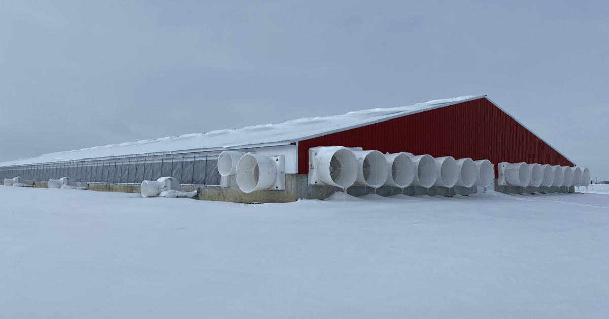 Get Your Barn Winter-Ready: Ventilation Checklist