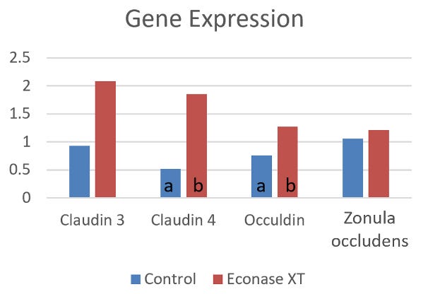 Gene Expression.jpg