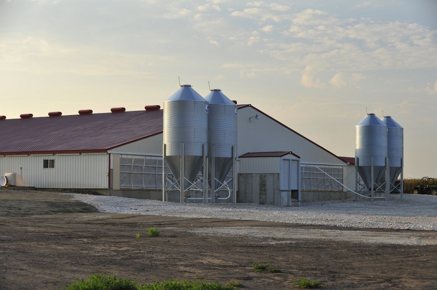 Pig Farm.jpg Pig Farm.jpg