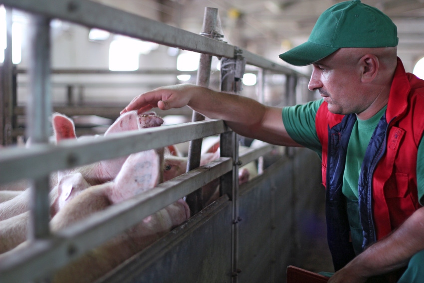 On the move — The pork industry’s history of innovation