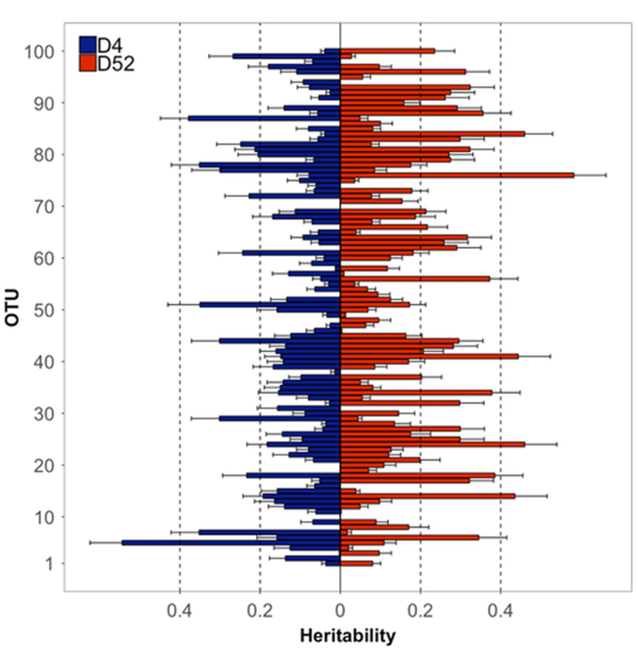 Figure 1: Heritability estimates for the relative abundance of the top 100 OTUs from vaginal samples collected at Day 4 and Day 52 after PRRS MLV vaccination in F1 gilts.