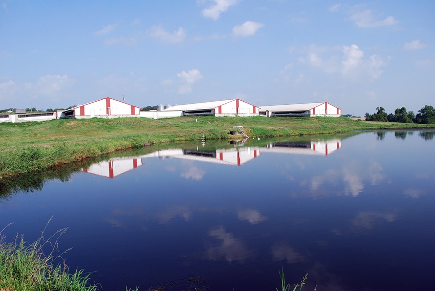 N.C. secures funding to close hog farms located in 100-year floodplain