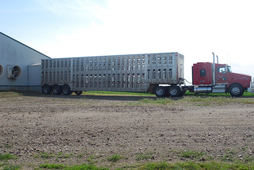 Livestock haulers’ hours of service comment period closes March 8 Livestock haulers’ hours of service comment period closes March 8