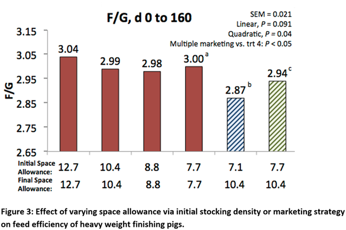  Effect of varying space allowance via initial stocking density or marketing strategy on feed efficiency of heavy weight finishing pigs.