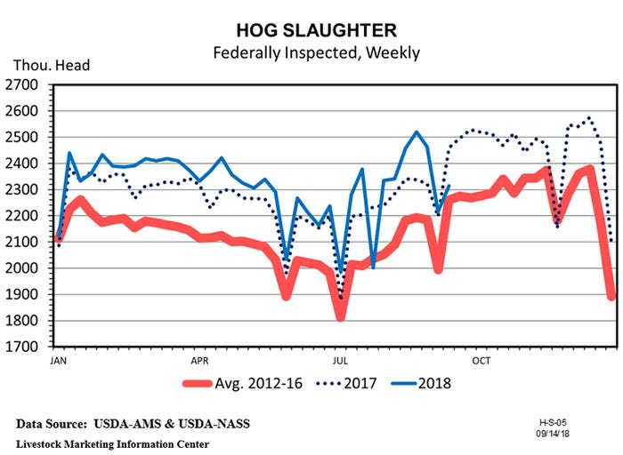 NHF-Plain-091718-HogSlaughter.jpg