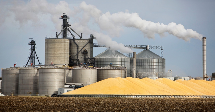 Corn piles outside of an ethanol plant