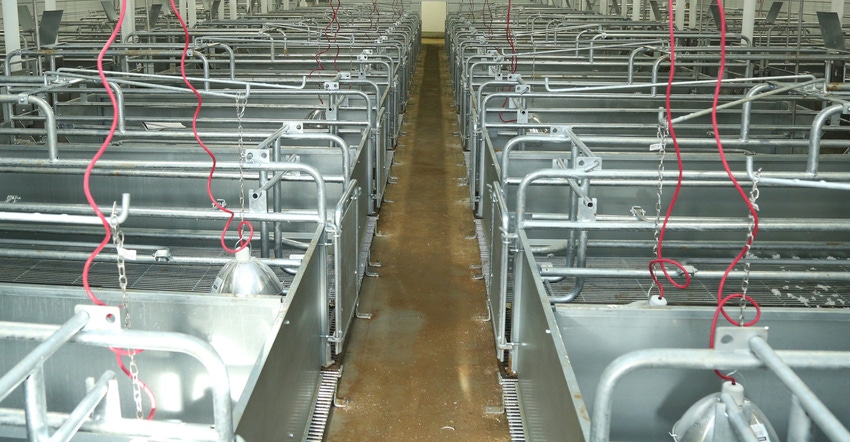 Remodeling project increases farrowing crate footprint