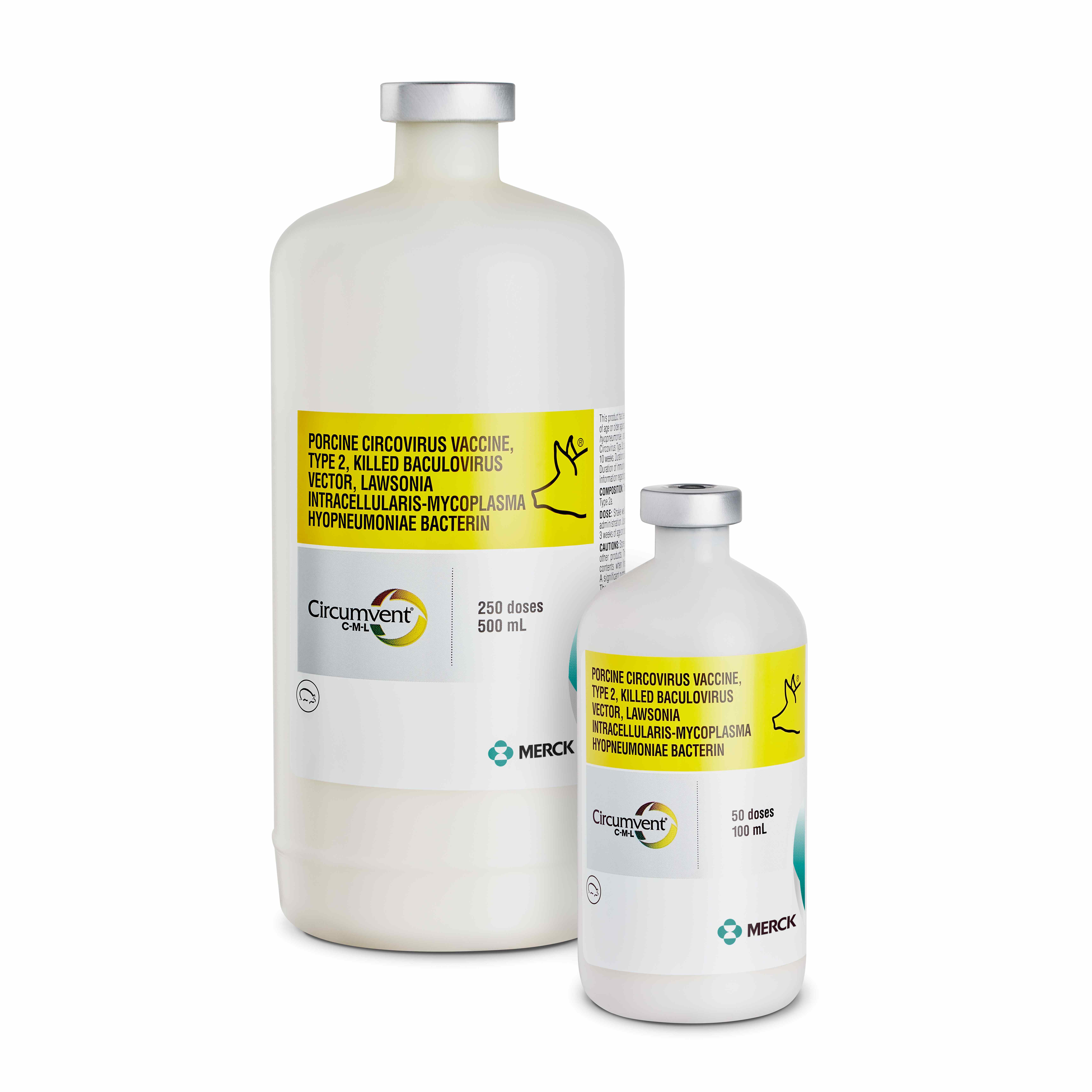 Merck launches vaccine for PCV2, Mhp and Lawsonia