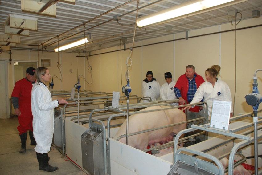Swine Industry Audit certifies producers’ mission