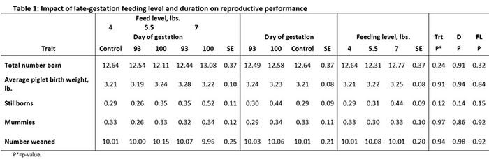  Impact of late-gestation feeding level and duration on reproductive performance