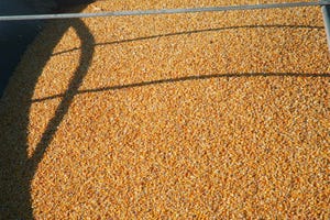 Legislation Offered to Reduce Corn Used for Ethanol