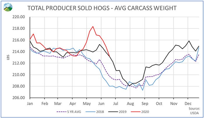  Total producer sold hogs (Average carcass weight)