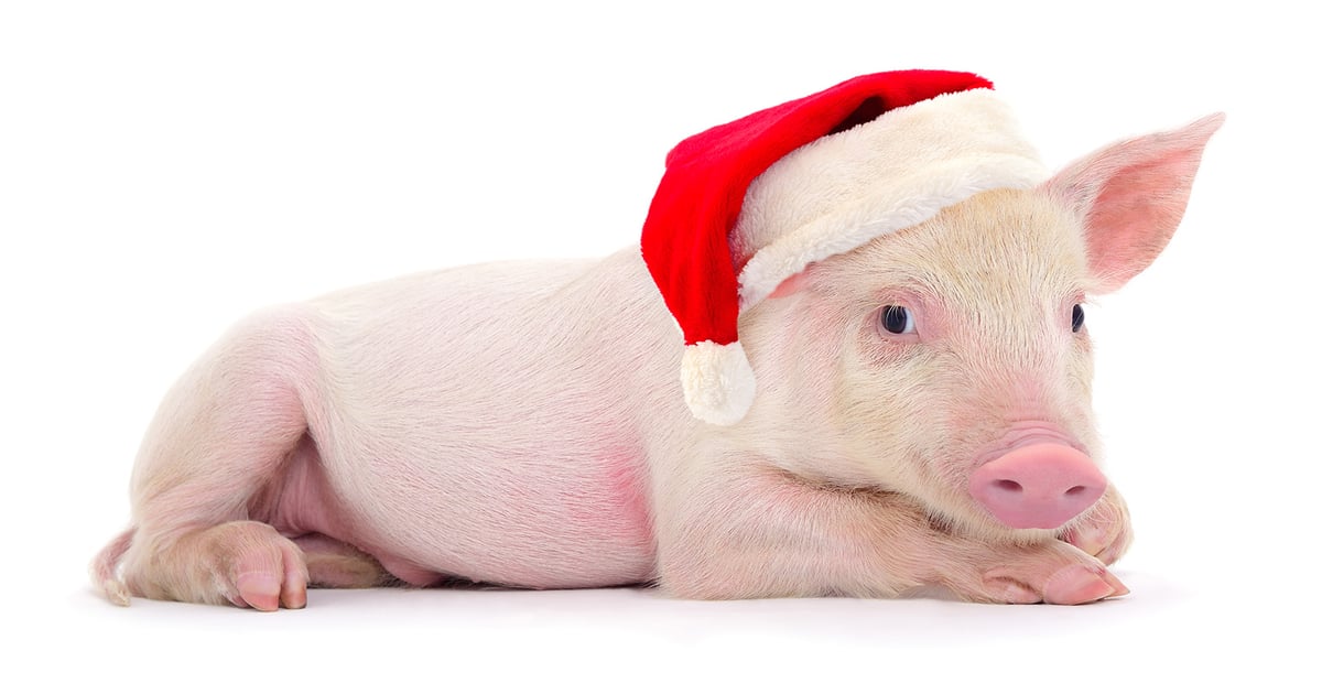 Holiday wishes for you and yours