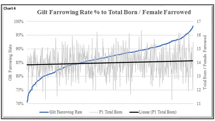 Chart 4: Gilt farrowing rate percent to total born per female farrowed