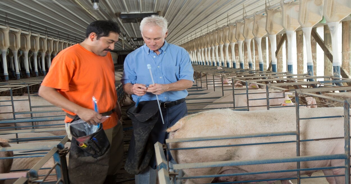 Congress releases report on ag labor challenges