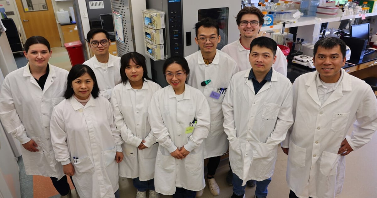 UNL researchers pioneer new swine influenza vaccine approach