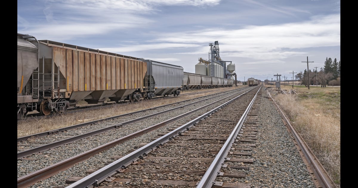 CMC, CPC say rail strike could cause untenable damage to Canada’s meat ...