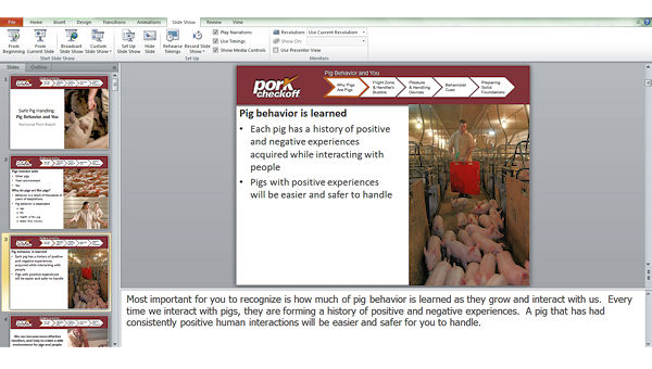 New Resource for Safe Pig Handling