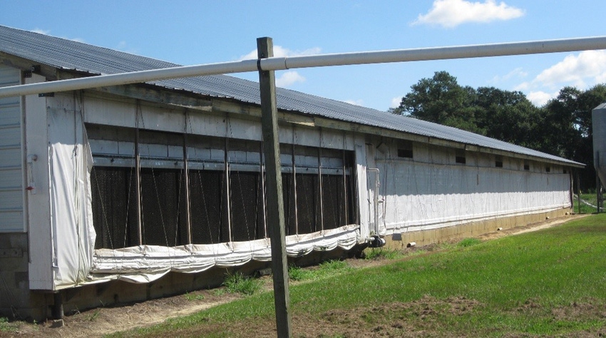 Evaporative cool cell pads have mixed results on finishing barn environment