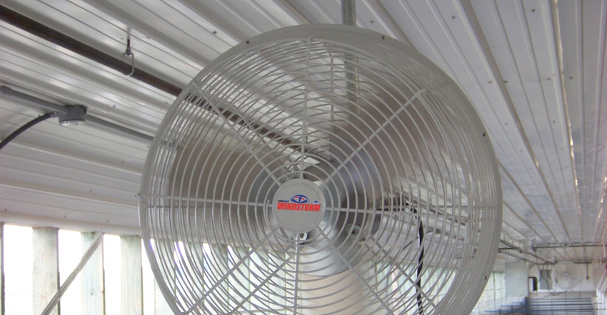 Stir-Fan_1540x800_0.jpg