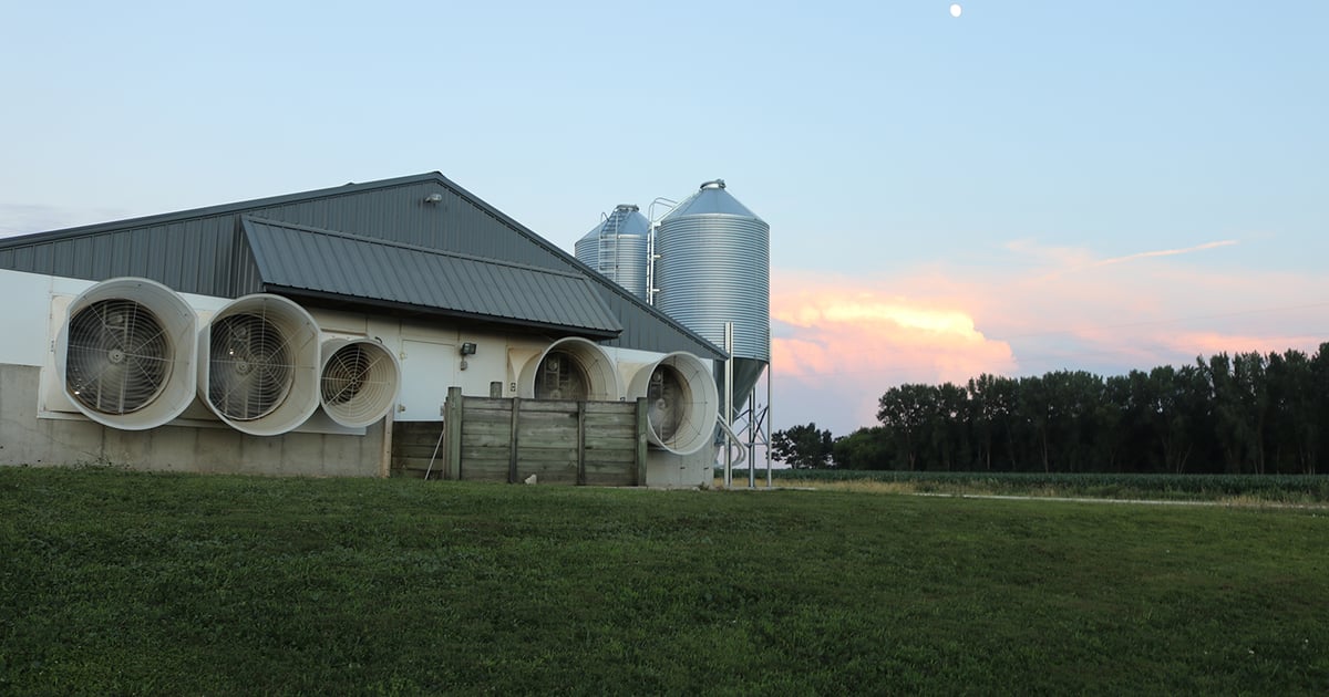 Hogs and Pigs Report pointing to industry contraction?