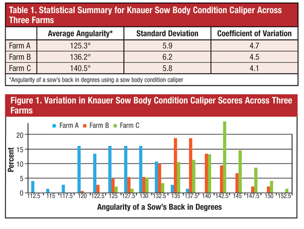 Quantifying Sow Body Condition