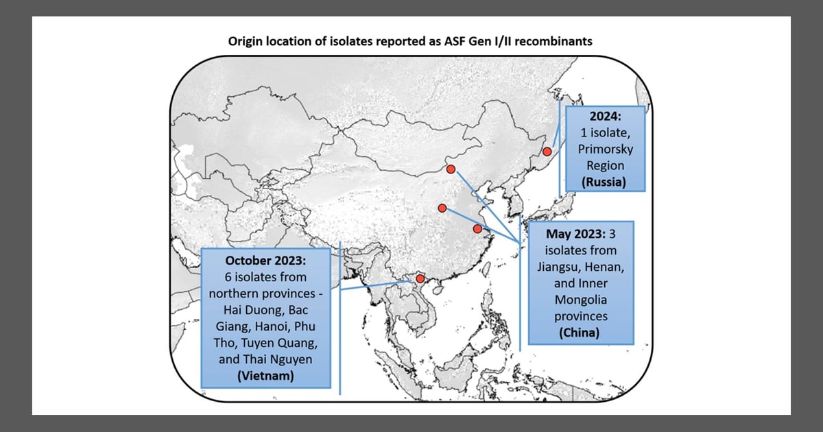 Asf Map Report on African swine fever virus strain circulation highlights ...