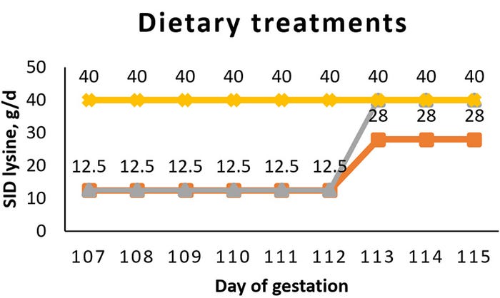 Figure 1: Standardized ileal digestible lysine intake by feeding regimen from Day 107 of gestation until farrowing. 